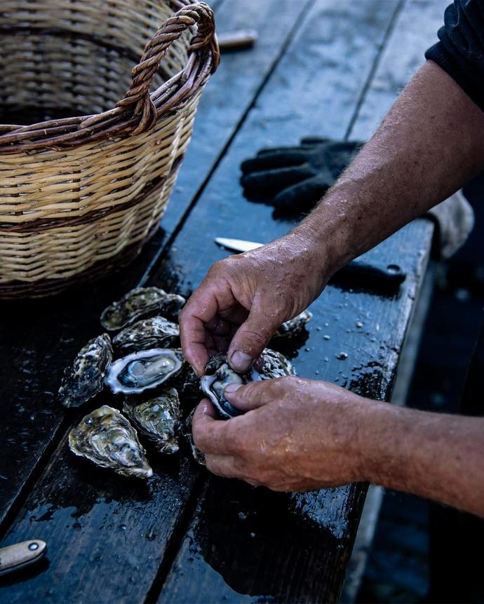 Tri d’huîtres en cabane ostréicole, ambiance sombre premium.