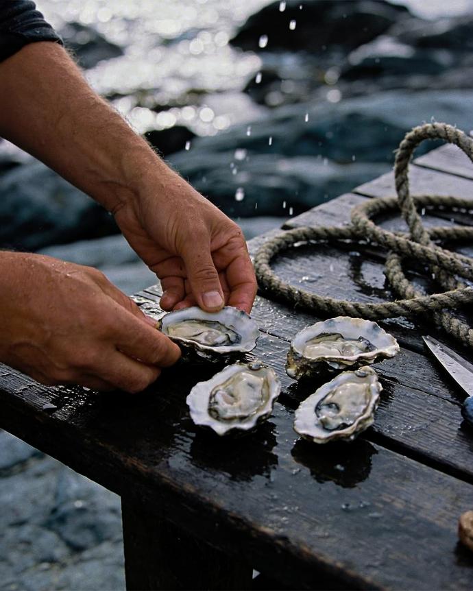 Geste ostréicole et ambiance granitique des Abers, style premium sombre.