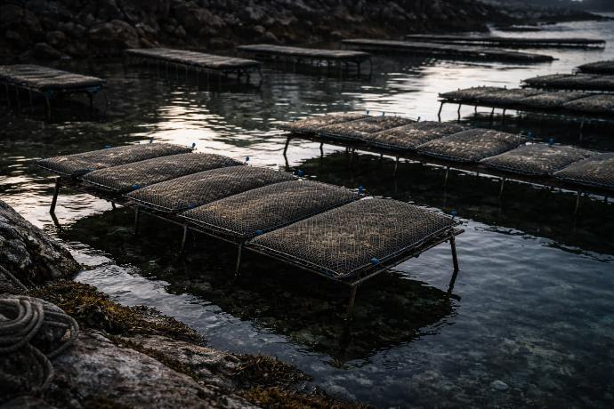 Bassin d’affinage ostréicole, rigueur et maîtrise, ambiance minérale sombre.