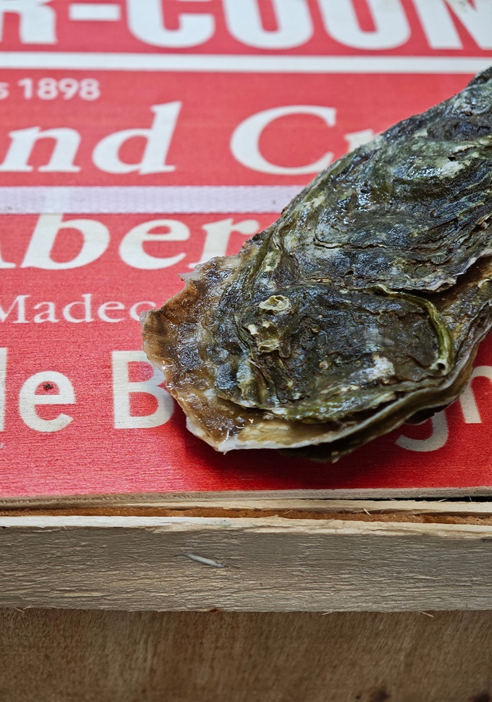 Prat Ar Coum (Bretagne) Fine N°3 25P