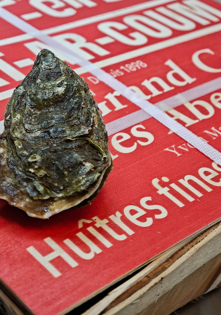 Prat Ar Coum (Bretagne) SPECIALE N°3 25P