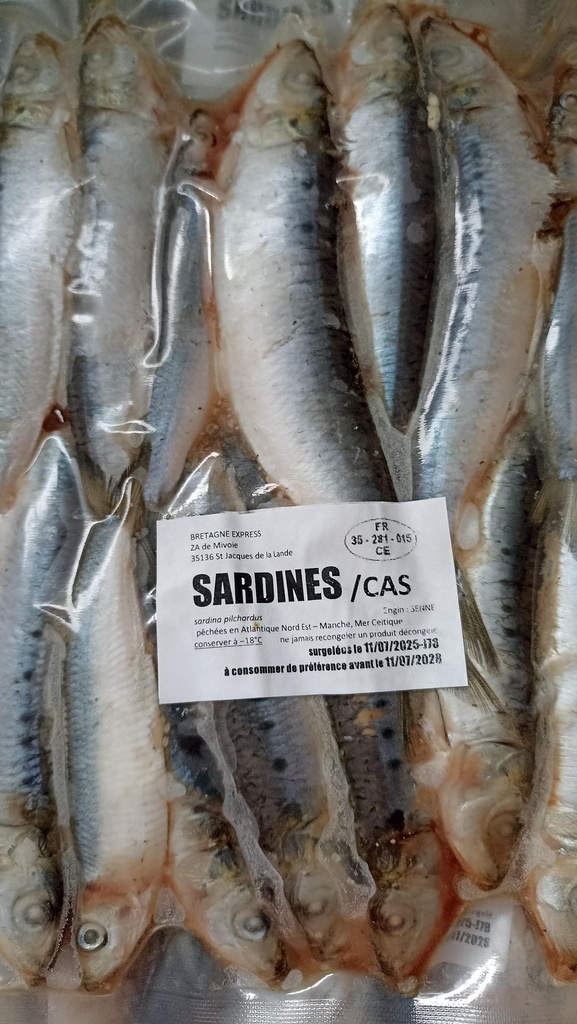 Sardine Entière CGL Kg