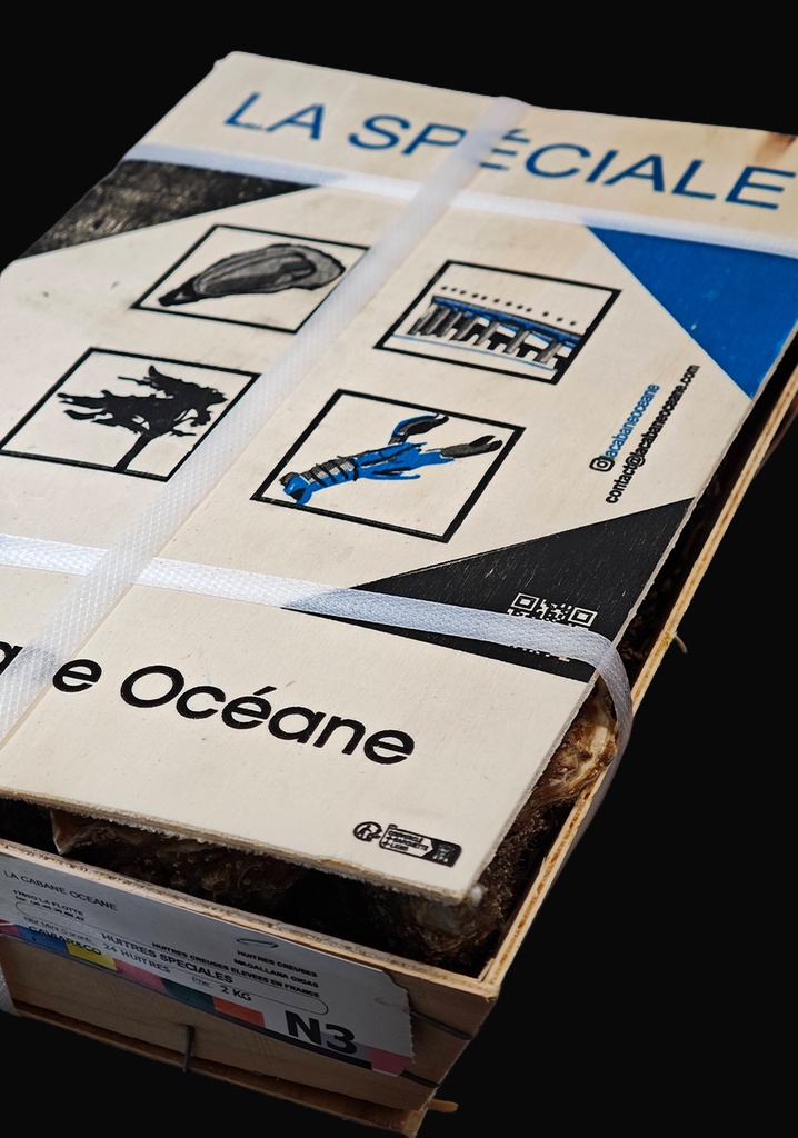 Marennes SPECIALES N°3 (4 DZ) CABANE OCEANE