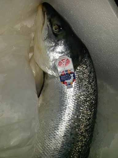 Saumon 3/4Kg frais Label Rouge Ecosse Kg