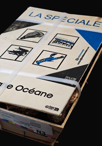 Marennes SPECIALES N°3 (4 DZ) CABANE OCEANE